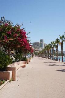 Explanada Hotel Alicante Exterior foto